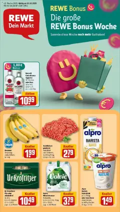Vorschau von dem Prospekt des Geschäftes Rewe, gültig ab dem 13.10.2025