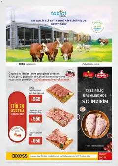 Özdilek Black Friday 19.11.2025 - Broşürünün önizlemesi | Strana: 22