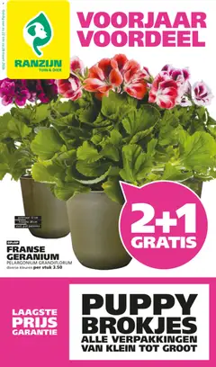 Voorbeeld van Ranzijn folder van winkel Ranzijn geldig vanaf 22-03-2026