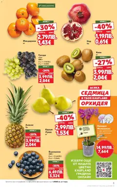 Преглед на Седмична брошура 44 от магазин Кауфланд - Офертата е валидна от 27.10.2025 | Cтраница : 3