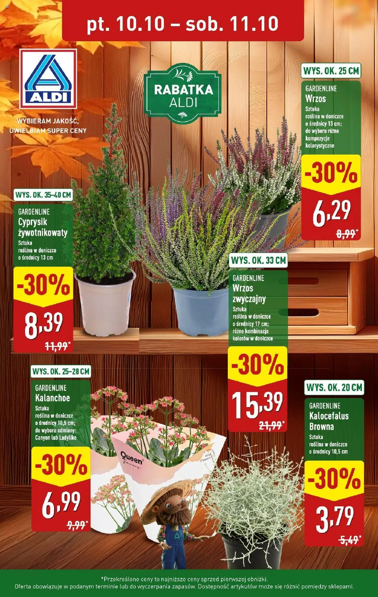 Aldi Tania rabatka od 10.10.2025 - Nowa Gazetka - Numer strony 1