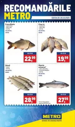 Previzualizarea de cataloage: Metro Catalog nou valabil de la 20.10.2025
