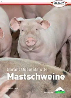 Vorschau der Angebote: Lagerhaus Schweinemast gültig ab 01.10.2025