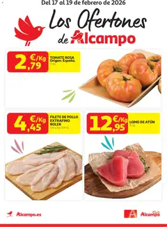 Vista previa del folleto de la tienda Alcampo válido desde el 17/02/2026 