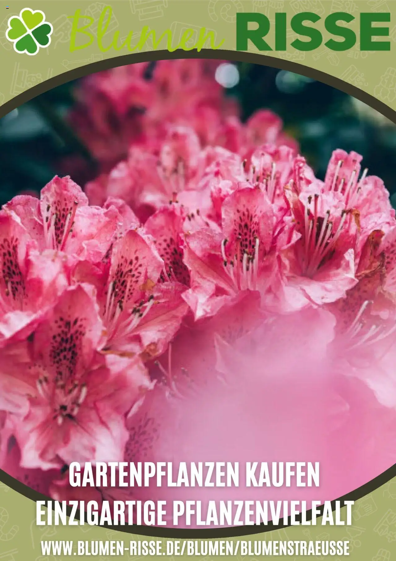 Blumen Risse Prospekt (vom 03.09.2025 - 03.10.2025) - Blumen