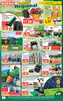 Prévisualisation de Catalogue du magasin Norma formulaire valide 25/02/2026