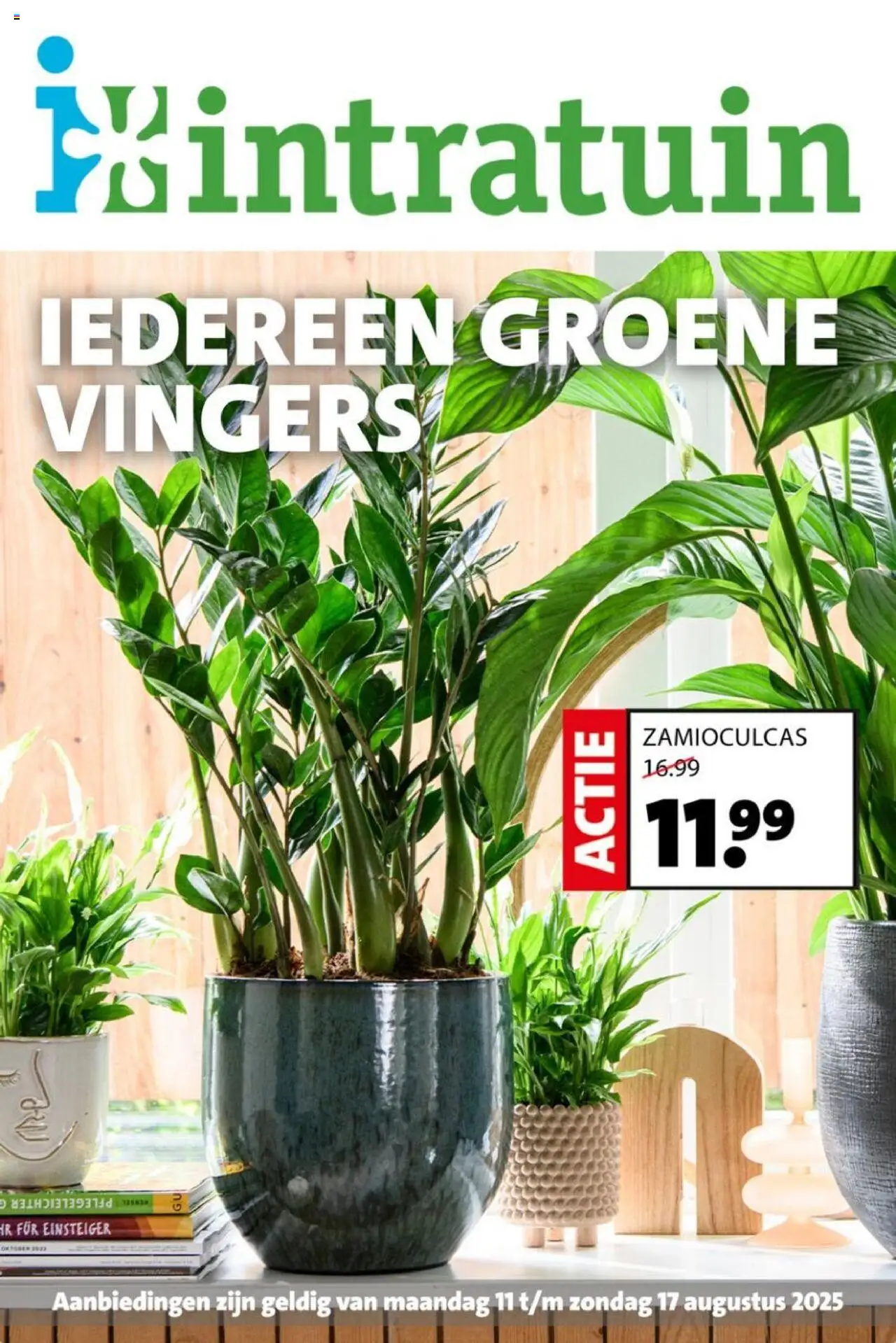 Intratuin shop Folder geldig vanaf 11-08-2025 - Paginanummer 1