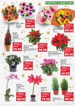 Náhled nabídky: Kaufland Black Friday platný od 19.11.2025 | Strana: 13