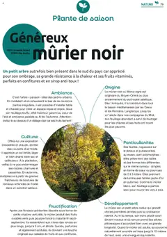 Prévisualisation de Catalogue du magasin Mr. Bricolage formulaire valide 22/09/2025 | Page: 79