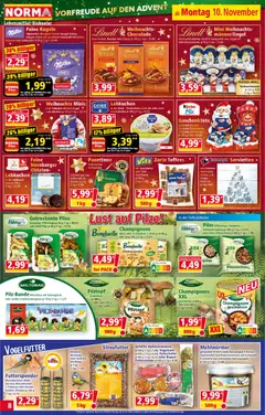 Vorschau der Angebote: Norma Flugblatt gültig ab 10.11.2025 | Seite: 9