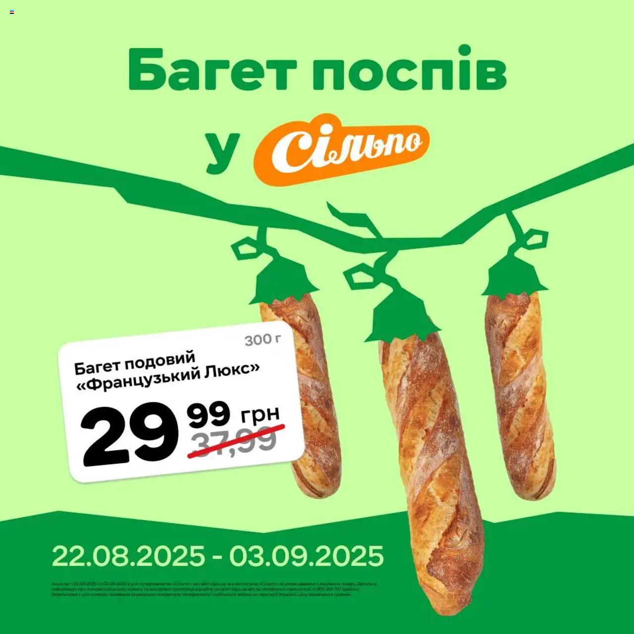 Сільпо каталог (22.08.2025 - 03.09.2025) - сторінка 1