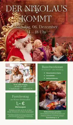 Vorschau von dem Prospekt des Geschäftes Pflanzen-Kölle, gültig ab dem 24.11.2025 | Seite: 11