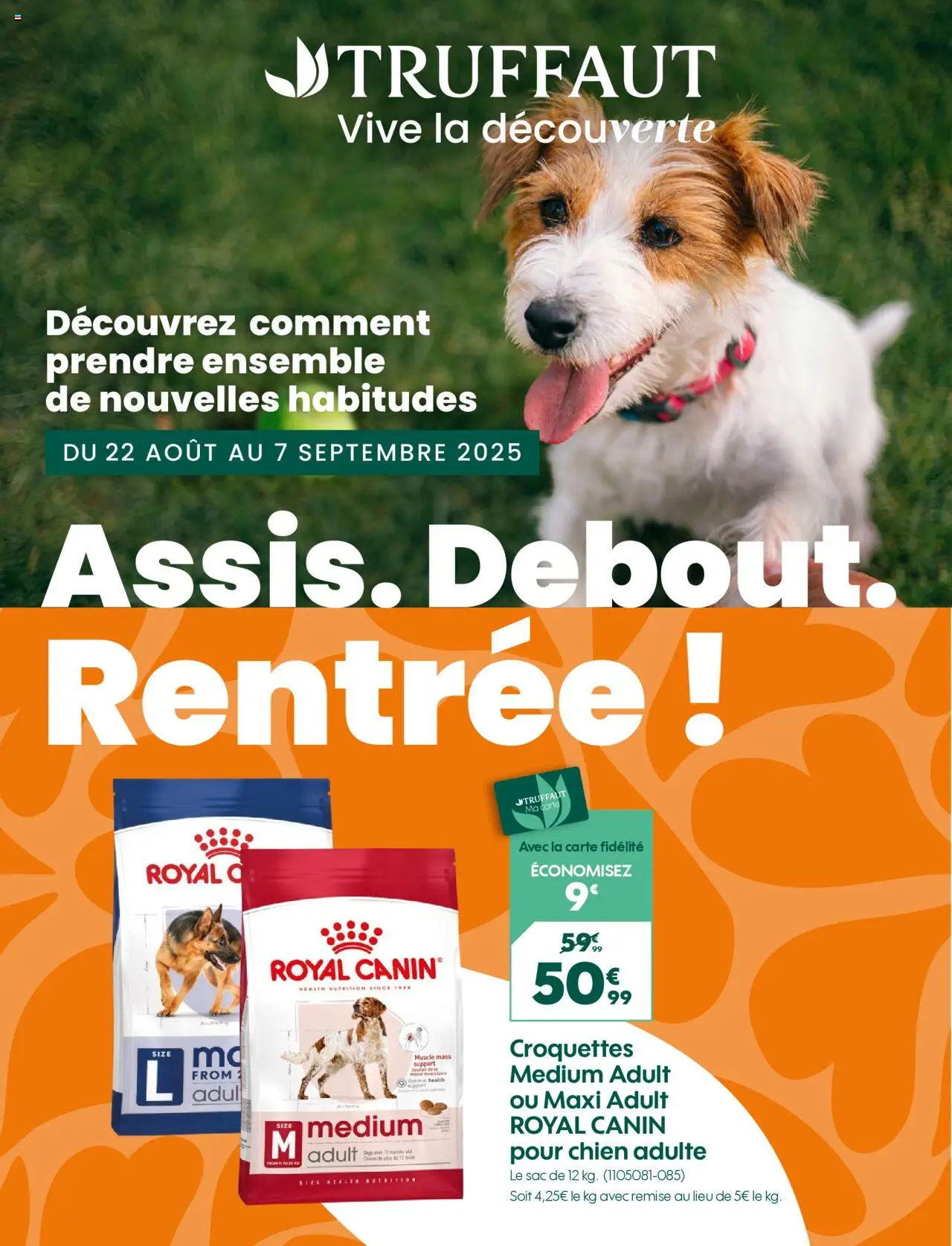 Catalogue de la boutique Truffaut valable du 22/08/2025 - Page numéro 1