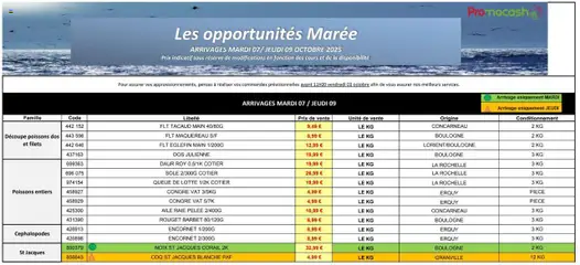 Prévisualisation de Les opportunités Marée du magasin Promocash formulaire valide 07/10/2025