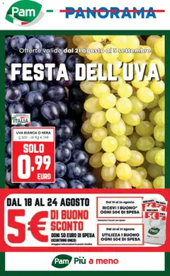 Anteprima dell'opuscolo Attuale volantino dal negozio Panorama valido da 21/08/2025