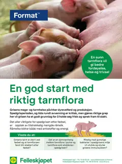 Forhåndsvis En god start med riktig tarmflora fra butikk Felleskjøpet gyldig fra 02/01/2026