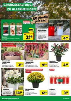 Vorschau der Angebote: Hagebau Flugblatt gültig ab 21.10.2025 | Seite: 2