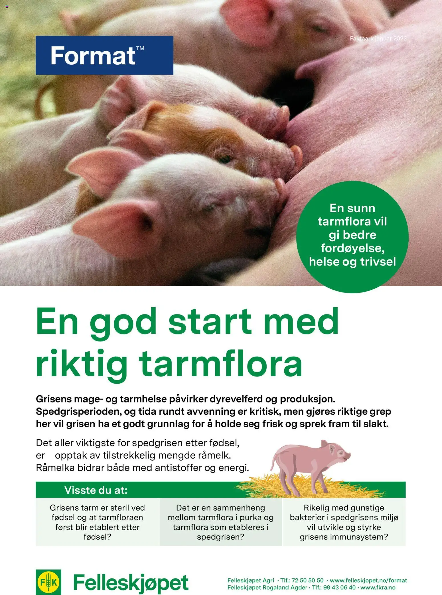 Forhåndsvis En god start med riktig tarmflora fra butikk Felleskjøpet gyldig fra 02/01/2026 - Ved
