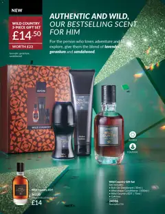 Preview of AVON Offers valid from 01/12/2025 | Page: 29