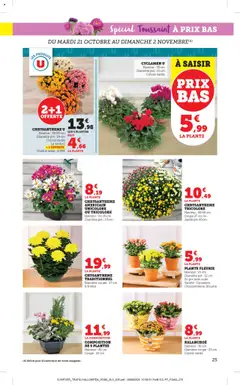 Prévisualisation de Catalogue du magasin bi1 formulaire valide 20/10/2025 | Page: 25