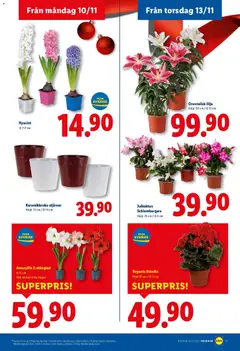Förhandsgranska reklamblad Aktuella reklamblad Lidl från butik Lidl gäller från 10/11/2025 | Sida : 19