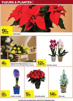 Prévisualisation de Catalogue Apero dinatoire du magasin Carrefour formulaire valide 02/12/2025 | Page: 92