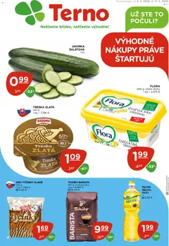 Náhľad Terno letáku platného od 05.03.2026