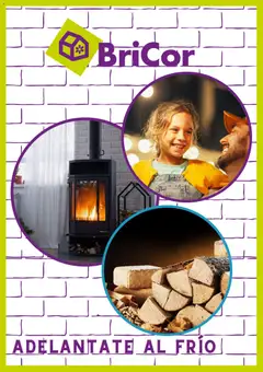 Vista previa del folleto de la tienda BriCor válido desde el 04/11/2025 