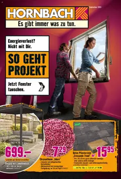Vorschau von dem Prospekt des Geschäftes Hornbach, gültig ab dem 08.09.2025