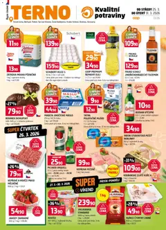 Náhled nabídky: Terno Terno leták platný od 25.03.2026