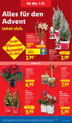 Vorschau von dem Prospekt des Geschäftes Lidl, gültig ab dem 01.12.2025 | Seite: 65