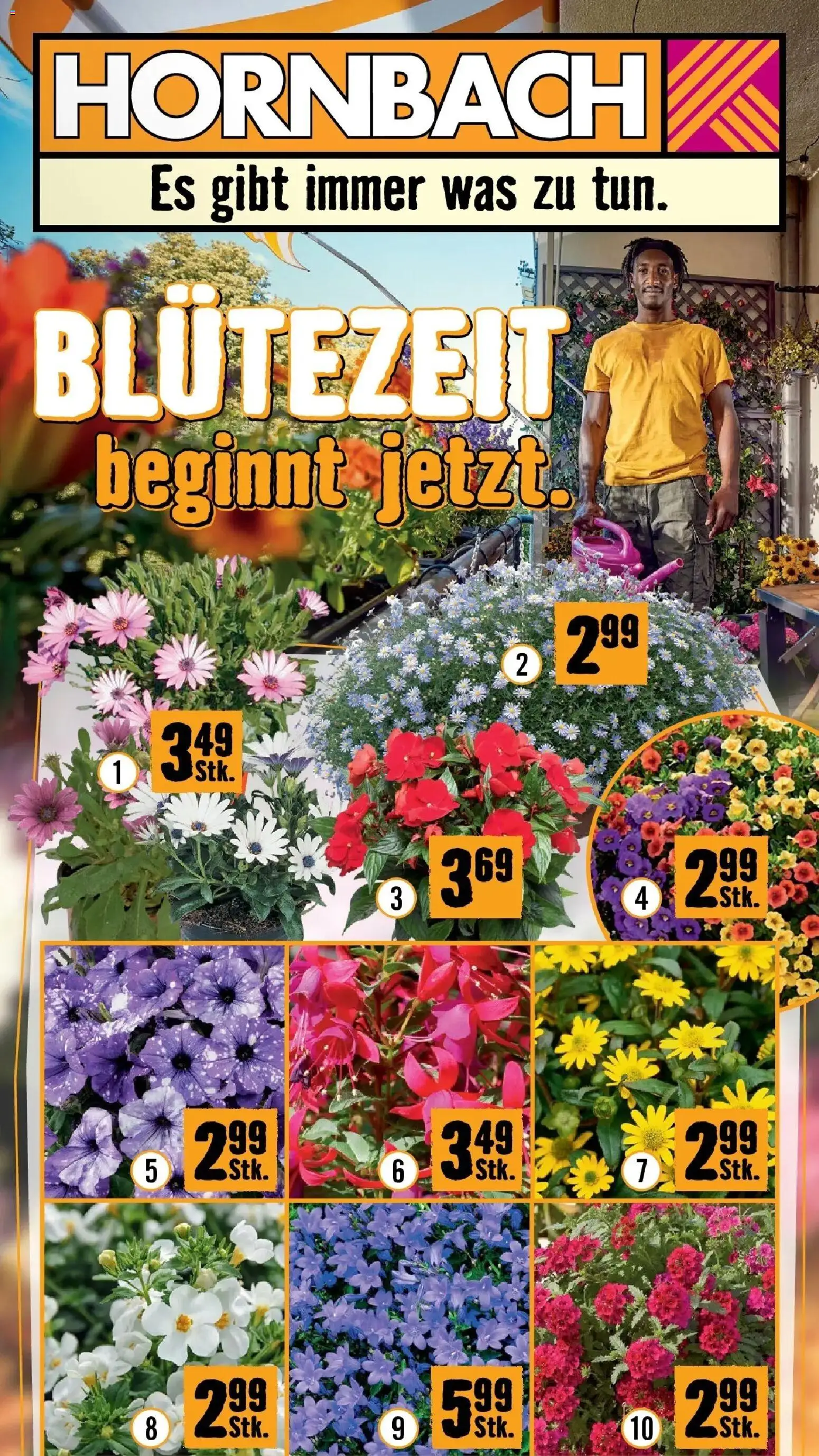 Vorschau der Angebote: Hornbach Hornbach: Blütezeit beginnt jetzt. gültig ab 14.04.2026