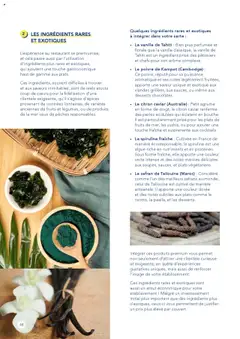 Prévisualisation de Catalogue du magasin METRO formulaire valide 01/01/2025 | Page: 48