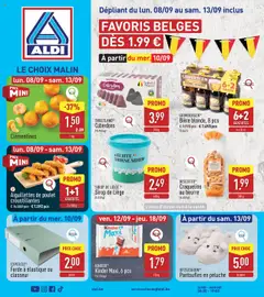 Prévisualisation de Folder de la semaine 37 du magasin Aldi formulaire valide 08/09/2025