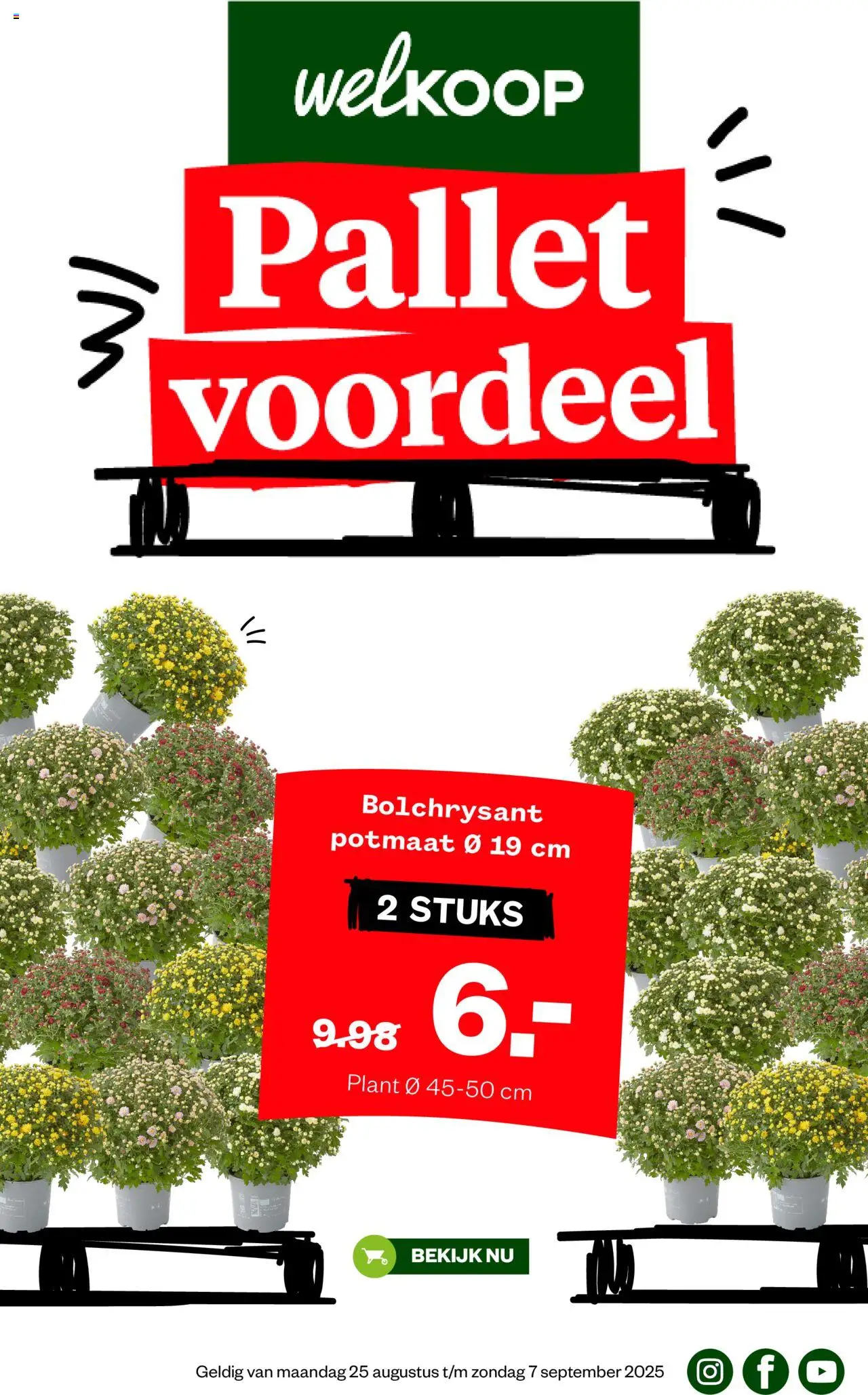 Welkoop shop Folder geldig vanaf 08-09-2025 - Paginanummer 1