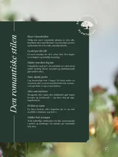 Forhåndsvis Kundeavis fra butikk Plantasjen gyldig fra 25/07/2025 | Side: 17