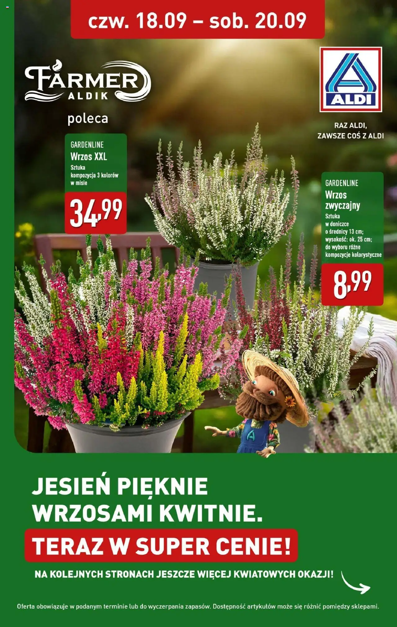 Aldi Wrzosy w ALDI od 17.09.2025 - Nowa Gazetka - Numer strony 1