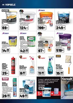 Previzualizarea de cataloage: Ambient Catalog nou valabil de la 01.10.2025 | Pagina: 6