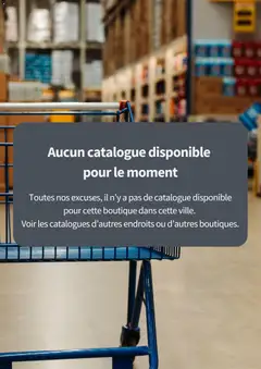 Prévisualisation de Catalogue de la semaine du magasin Action formulaire valide 03/02/2026
