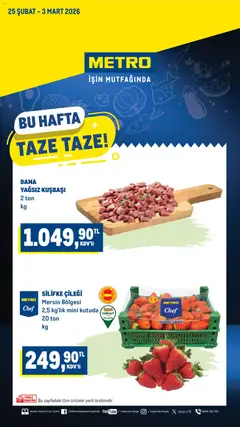 Metro Taze Ürünler 25.02.2026 - Broşürünün önizlemesi