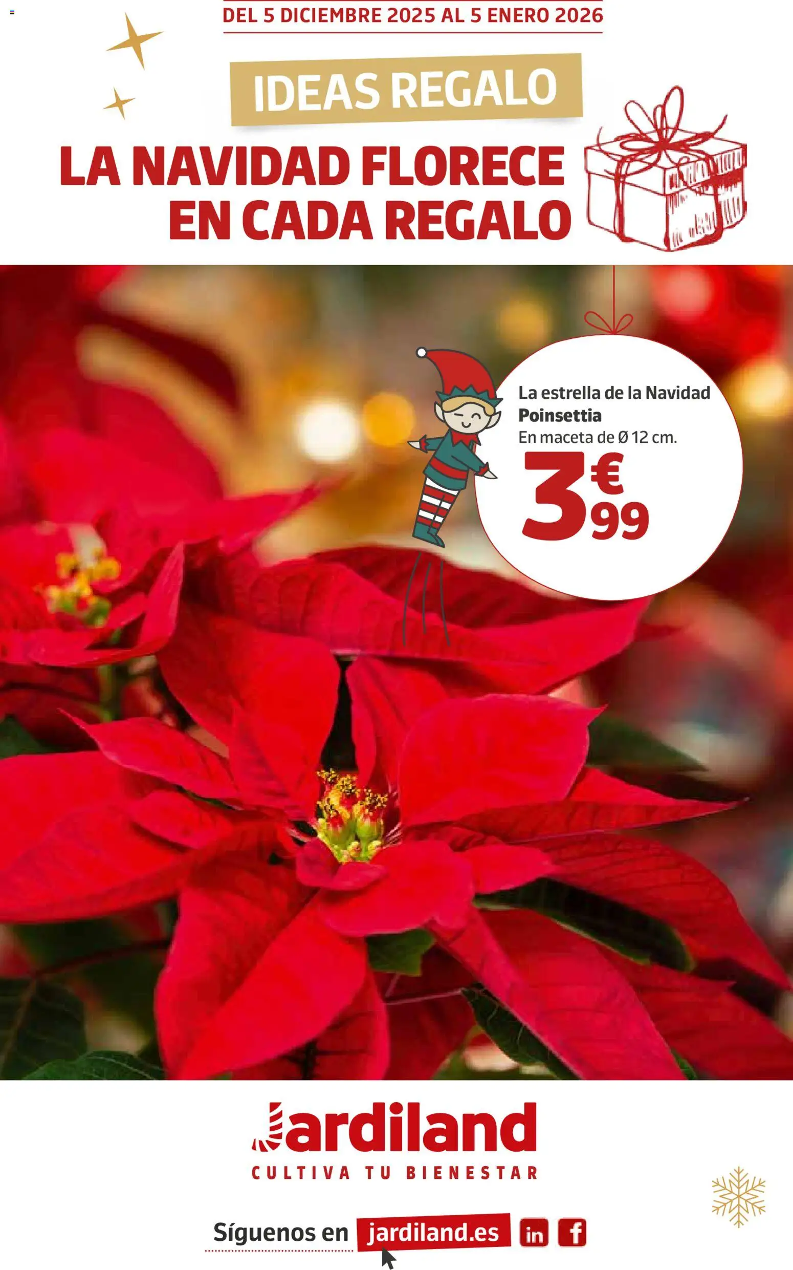 Vista previa del folleto de la tienda Jardiland válido desde el 05/12/2025 - Maceta