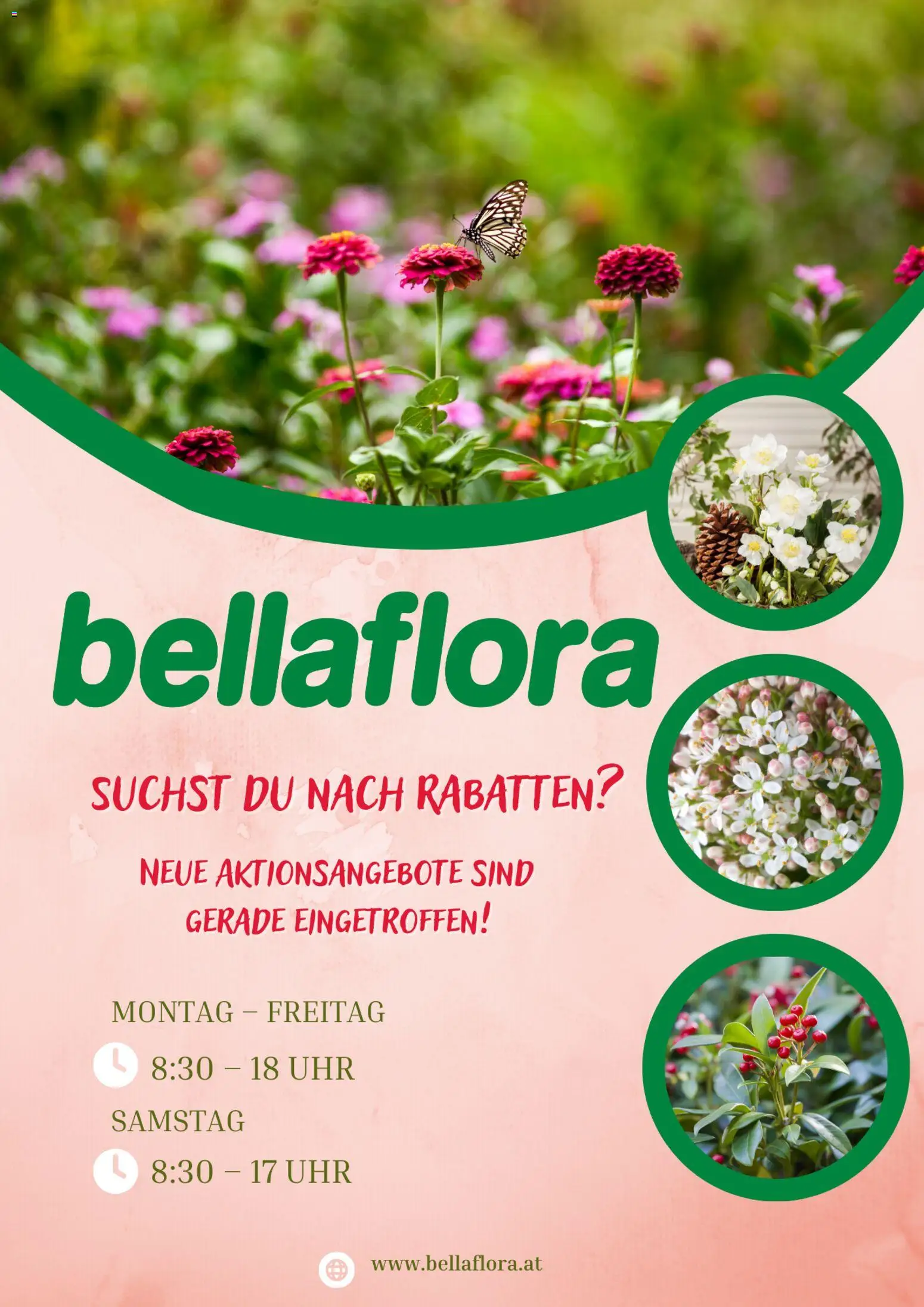 Vorschau der Angebote: bellaflora bellaflora Flugblatt gültig ab 06.03.2026