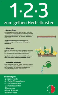 Vorschau der Angebote: bellaflora 1-2-3 zum gelben Herbstkasten gültig ab 13.02.2023