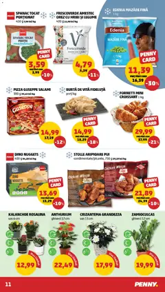 Previzualizarea de cataloage: PENNY Catalog nou valabil de la 19.11.2025 | Pagina: 11