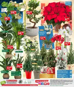 Vorschau der Angebote: Bauhaus Prospekt gültig ab 02.12.2025 | Seite: 24