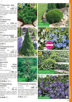 Náhled nabídky: Starkl Katalog podzim 2025 platný od 01.08.2025 | Strana: 41