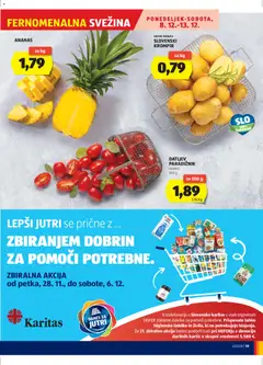 Predogled kataloga iz trgovine Hofer veljaven od 04.12.2025 | Stran: 19