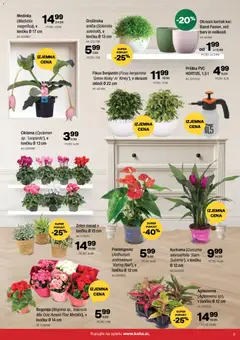 Predogled kataloga iz trgovine Kalia veljaven od 10.11.2025 | Stran: 9