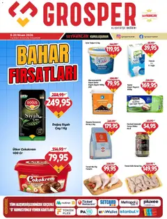 Grosper Grosper Katalog 08.04.2026 - Broşürünün önizlemesi