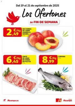 Vista previa del folleto de la tienda Alcampo válido desde el 19/09/2025 